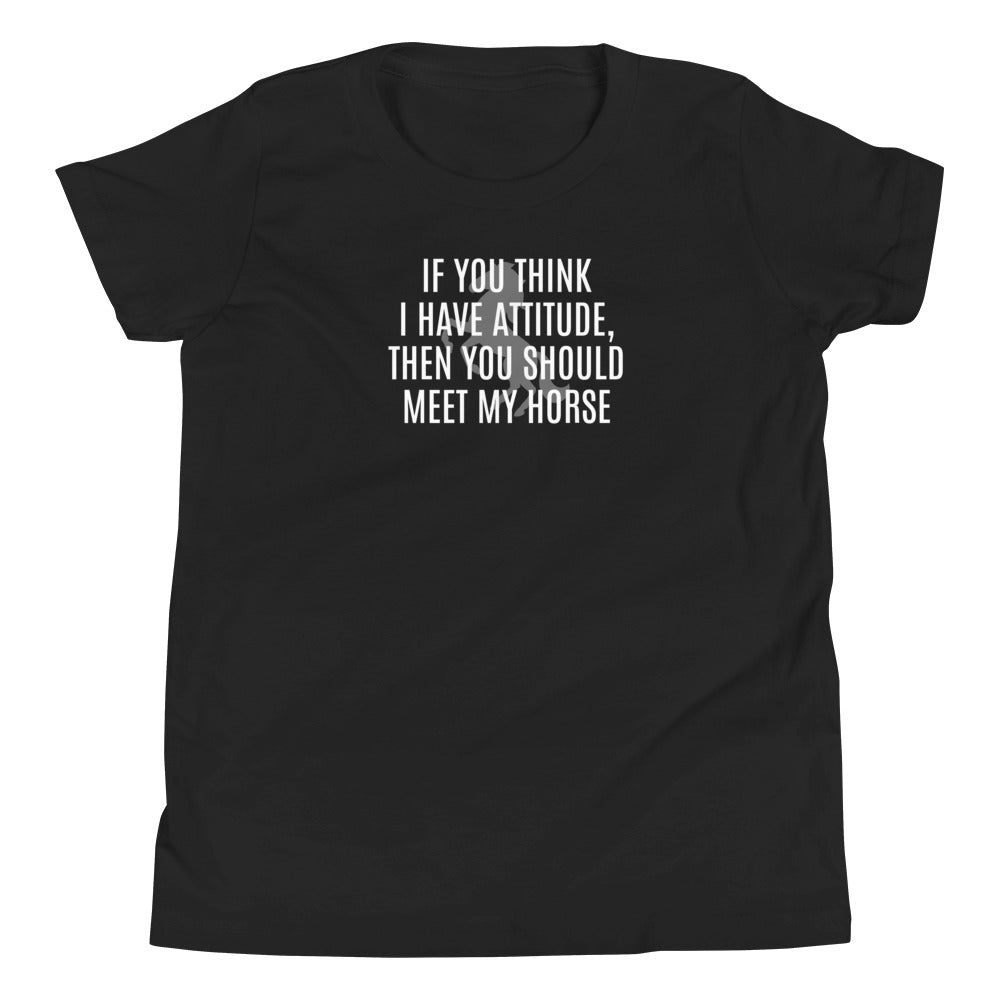 Youth T-Shirt "IF YOU THINK I HAVE ATTITUDE" in Basic Black, French Navy, Canadian Red or Storm Grey Heather