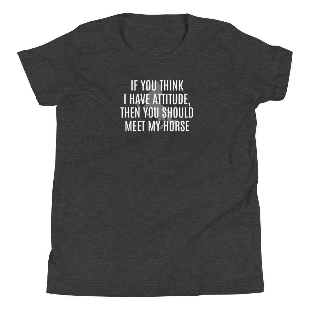 Youth T-Shirt "IF YOU THINK I HAVE ATTITUDE" in Basic Black, French Navy, Canadian Red or Storm Grey Heather