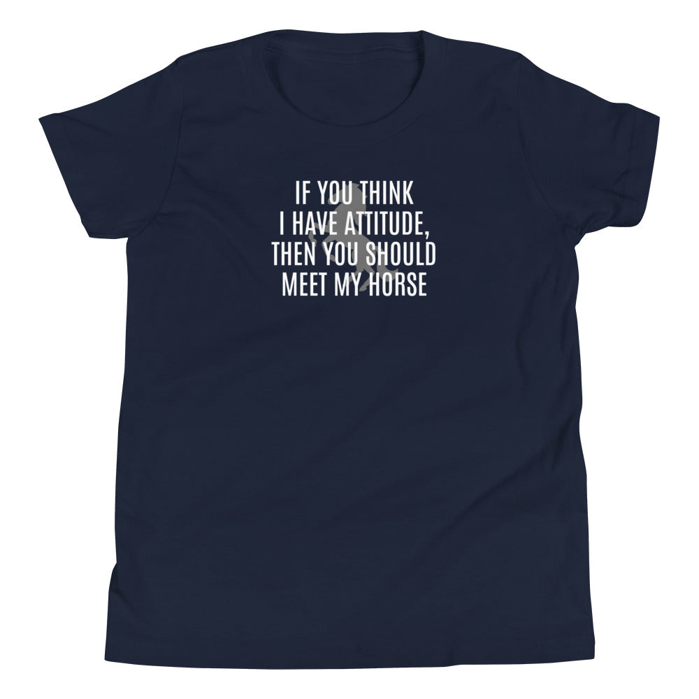 Youth T-Shirt "IF YOU THINK I HAVE ATTITUDE" in Basic Black, French Navy, Canadian Red or Storm Grey Heather