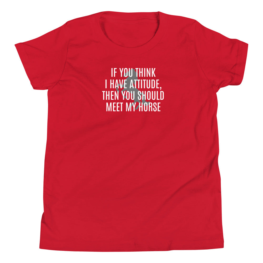 Youth T-Shirt "IF YOU THINK I HAVE ATTITUDE" in Basic Black, French Navy, Canadian Red or Storm Grey Heather
